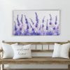 Lavender Echo - Image 4