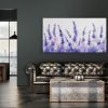 Lavender Echo - Image 2